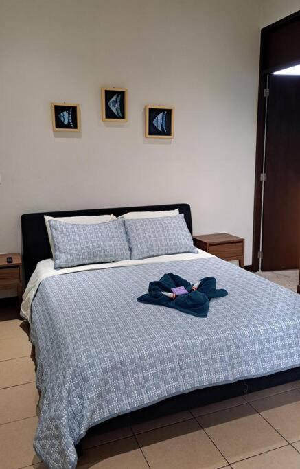 Playa Blanca - Moro Blue Cancun