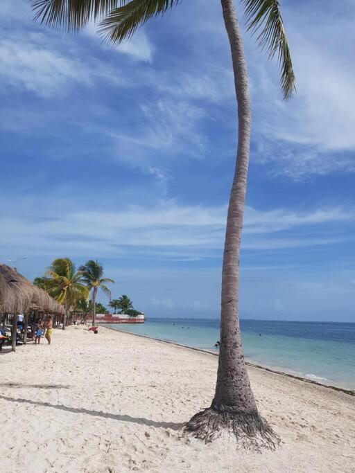 Playa Blanca - Moro Blue *